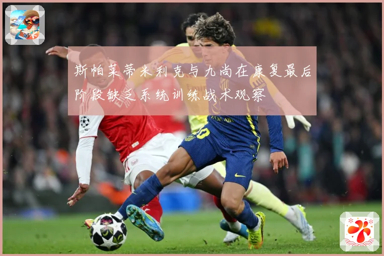 斯帕莱蒂米利克与九尚在康复最后阶段缺乏系统训练战术观察