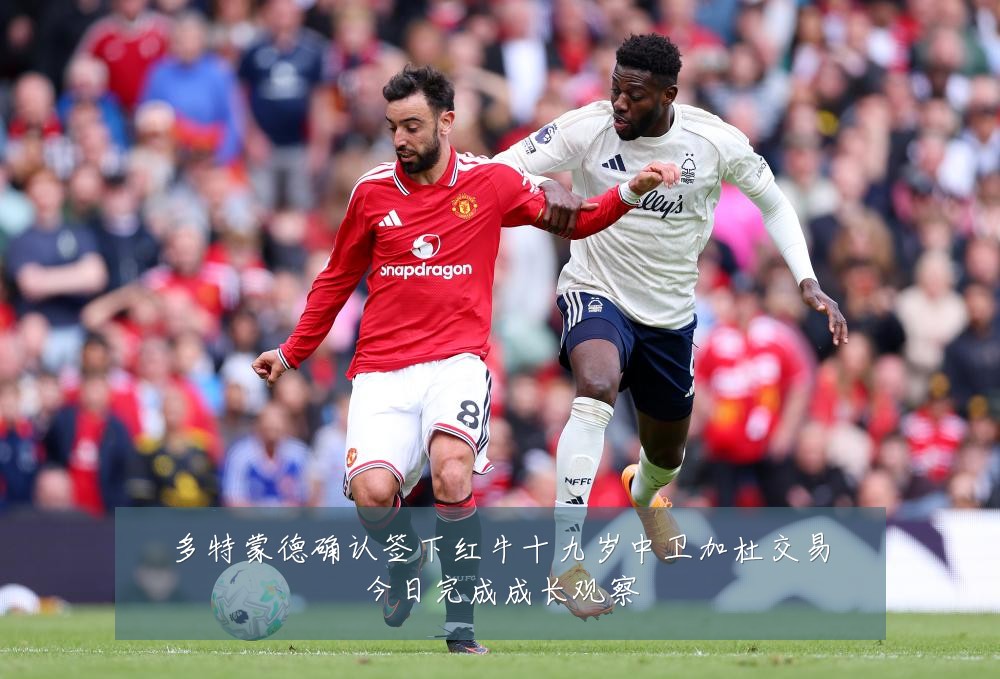 多特蒙德确认签下红牛十九岁中卫加杜交易今日完成成长观察