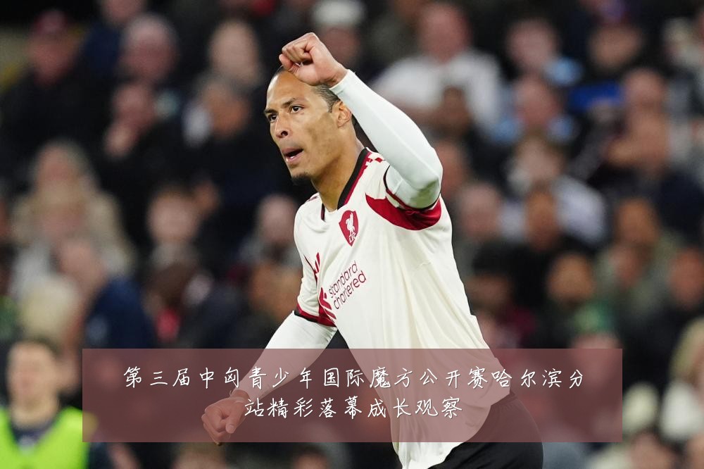 第三届中匈青少年国际魔方公开赛哈尔滨分站精彩落幕成长观察