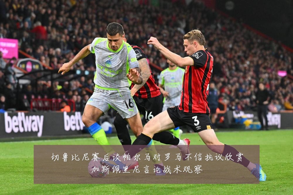 切鲁比尼赛后谈帕尔马对罗马不信抗议欣赏加斯佩里尼言论战术观察
