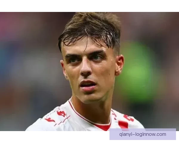 意大利体育部长推动马尔蒂尼加盟足协工作，引发广泛关注